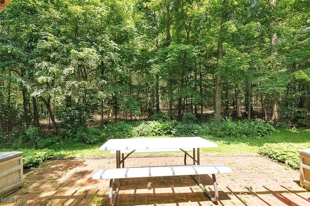 9502 Winchester Vly, Chesterland, OH 44026 - view of patio