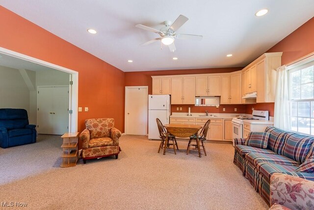 9502 Winchester Vly, Chesterland, OH 44026 - photo 15