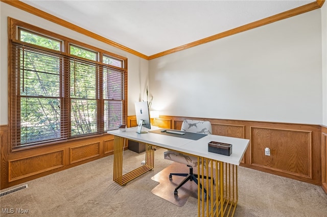3519 Hawthorne Trl, Broadview Heights, OH 44147 - office space featuring wainscoting, ornamental molding, light carpet, and healthy amount of natural light