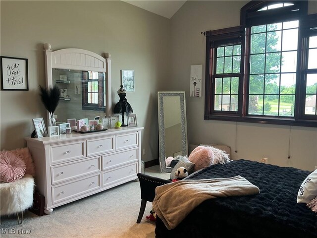 3204 Maple Creek Dr, Zanesville, OH 43701 - photo 24