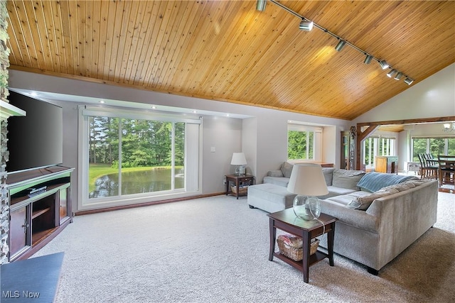 13645 Salem Church St NE, Paris, OH 44669 - living room with rail lighting, wooden ceiling, carpet, and high vaulted ceiling