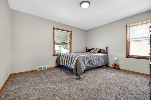5077 Catherine St, Maple Heights, OH 44137 - bedroom featuring carpet flooring and multiple windows