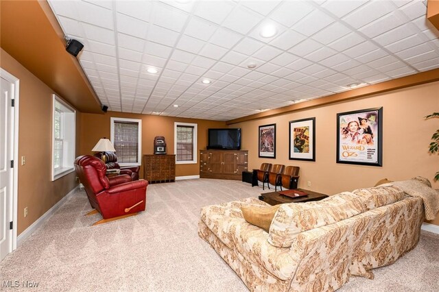 8540 Riverview Dr, Garrettsville, OH 44231 - photo 42