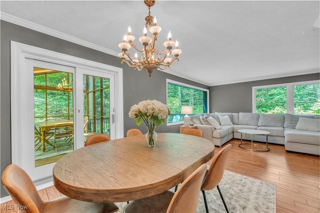 820 Old Spring Rd, Copley, OH 44321 - dining space featuring crown molding, a chandelier, wood finished floors, and a textured ceiling