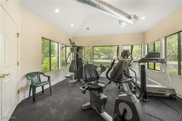 3800 Rosemont Blvd Unit 114C, Akron, OH 44333 - exercise area featuring recessed lighting and lofted ceiling