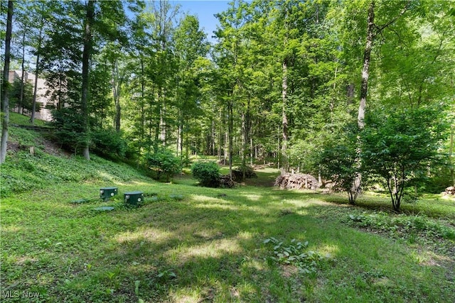 4 Valley Rdg, Farm, Hunting Valley, OH 44022 - view of yard
