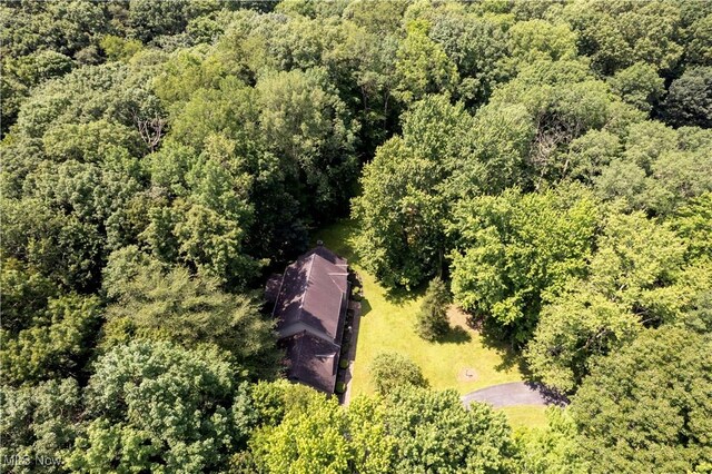 3322 Aspen Dr, Wooster, OH 44691 - photo 33