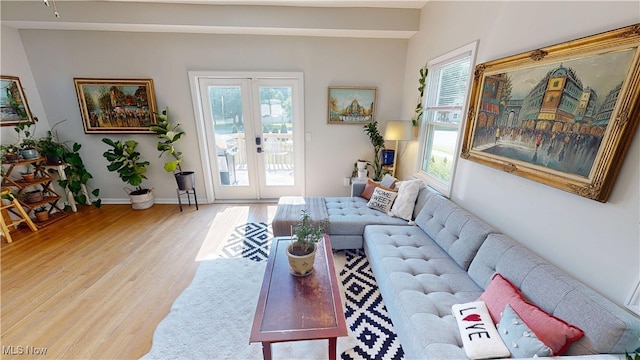 409 W Grant St, Kent, OH 44240 - living room with french doors, light wood-type flooring, and plenty of natural light