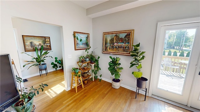 409 W Grant St, Kent, OH 44240 - entryway featuring light wood-style flooring and baseboards
