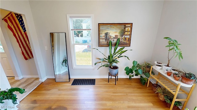 409 W Grant St, Kent, OH 44240 - entryway with light wood finished floors and baseboards