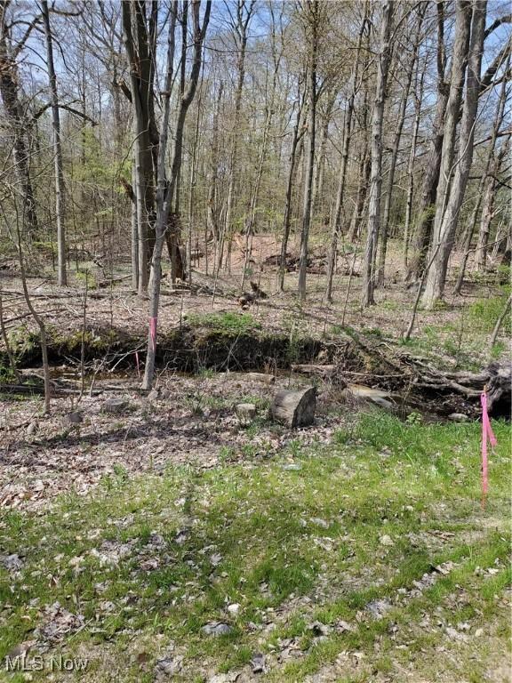 9765 Washington St, Chagrin Falls, OH 44023