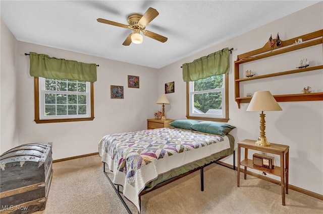 1065 Sunshine Ct, Grafton, OH 44044 - photo 26