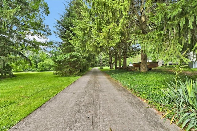 1065 Sunshine Ct, Grafton, OH 44044 - photo 41