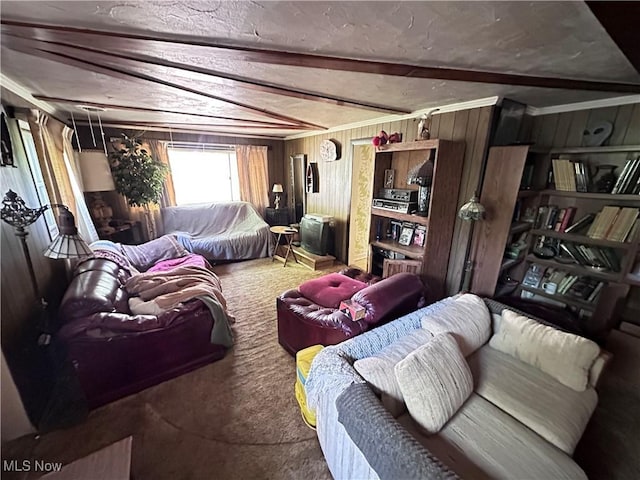 7742 Dahlia Dr, Mentor On The Lake, OH 44060 - carpeted living room featuring beamed ceiling and wooden walls