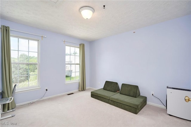 933 Alder Run Way, Akron, OH 44333 - living area featuring carpet floors and a textured ceiling