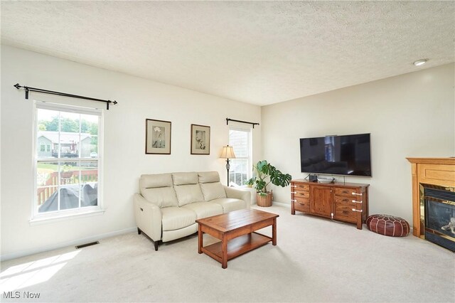 933 Alder Run Way, Akron, OH 44333 - carpeted living area featuring plenty of natural light, a glass covered fireplace, and a textured ceiling