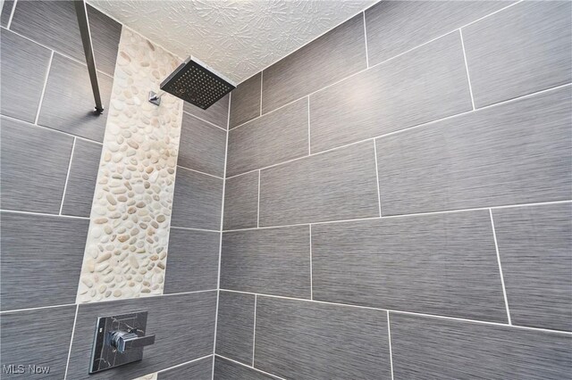 933 Alder Run Way, Akron, OH 44333 - bathroom view of a tile shower