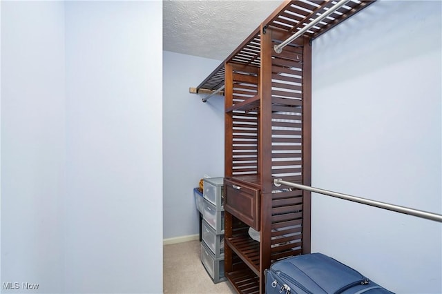 933 Alder Run Way, Akron, OH 44333 - spacious closet with carpet