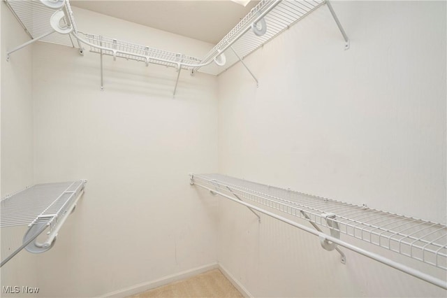 1435 Durham Dr, Broadview Heights, OH 44147 - view of walk in closet