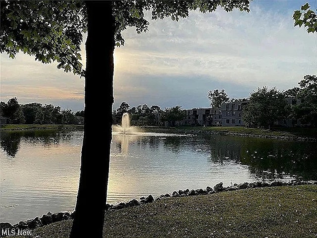 9630 Cove Dr Unit A14, North Royalton, OH 44133 - water view