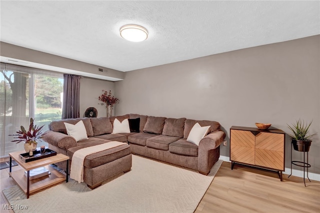 2910 N Bay Dr Unit L11, Westlake, OH 44145 - living room with light wood-style floors and a textured ceiling