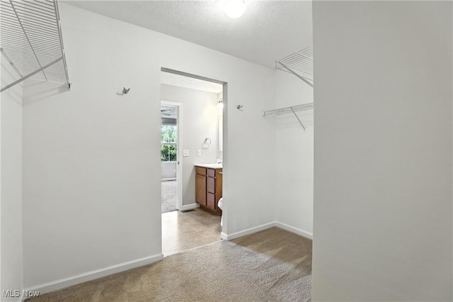 107 Lakeview Cir, Amherst, OH 44001 - walk in closet with light colored carpet