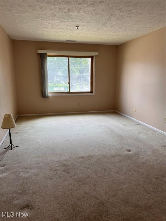 19510 Lorain Rd Unit 201, Fairview Park, OH 44126 - spare room with carpet flooring and a textured ceiling