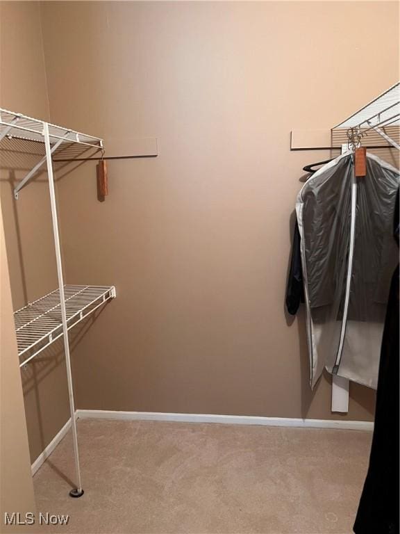 19510 Lorain Rd Unit 201, Fairview Park, OH 44126 - spacious closet with carpet floors