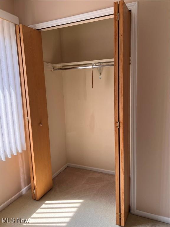 19510 Lorain Rd Unit 201, Fairview Park, OH 44126 - view of closet