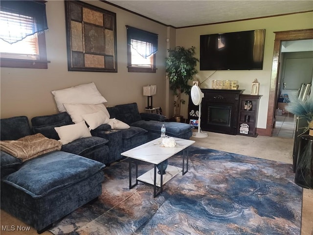 130 N Portland Ave, Youngstown, OH 44509 - photo 3