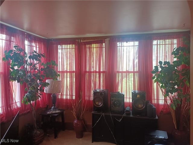 130 N Portland Ave, Youngstown, OH 44509 - photo 10
