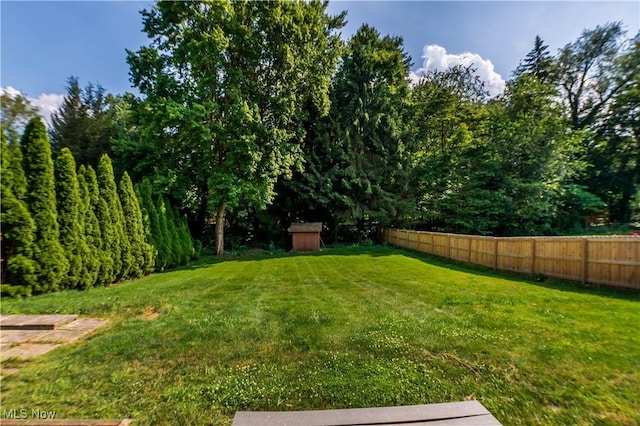 216 W Glenridge Rd, Green, OH 44319 - view of yard featuring a storage shed