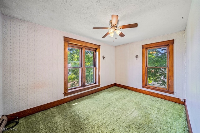 13778 Spring St, Burton, OH 44021 - carpeted spare room featuring plenty of natural light, a ceiling fan, a textured ceiling, and a baseboard radiator