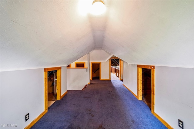 13778 Spring St, Burton, OH 44021 - bonus room with lofted ceiling and carpet floors