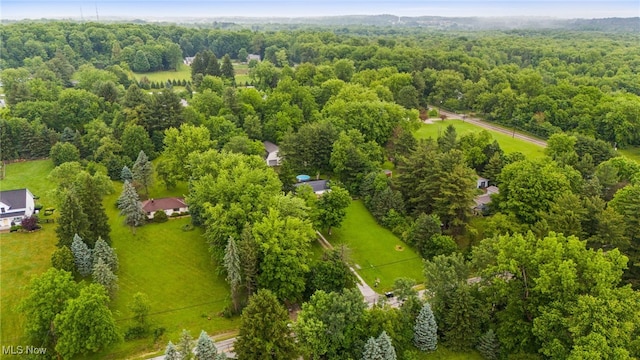 8902 Taylor May Rd, Chagrin Falls, OH 44023 - aerial view of a forest