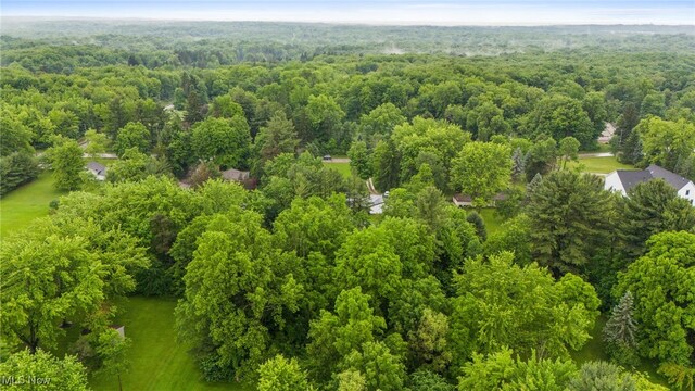 8902 Taylor May Rd, Chagrin Falls, OH 44023 - bird's eye view of a heavily wooded area
