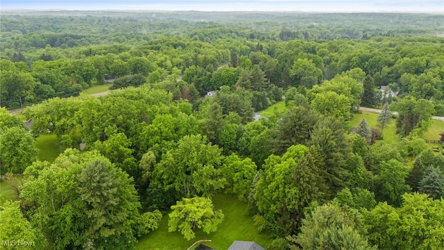8902 Taylor May Rd, Chagrin Falls, OH 44023 - aerial view of a heavily wooded area