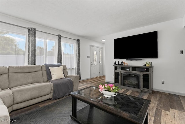16792 Gonzales Ave, East Liverpool, OH 43920 - living room with wood finished floors and a glass covered fireplace