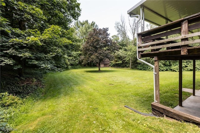 16792 Gonzales Ave, East Liverpool, OH 43920 - view of grassy yard