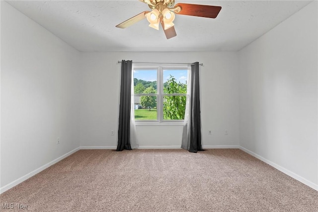 1170 Wild Brook Dr, Akron, OH 44313 - photo 17