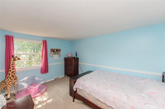 14344 S Gateway Dr, North Royalton, OH 44133 - bedroom with carpet flooring and baseboards