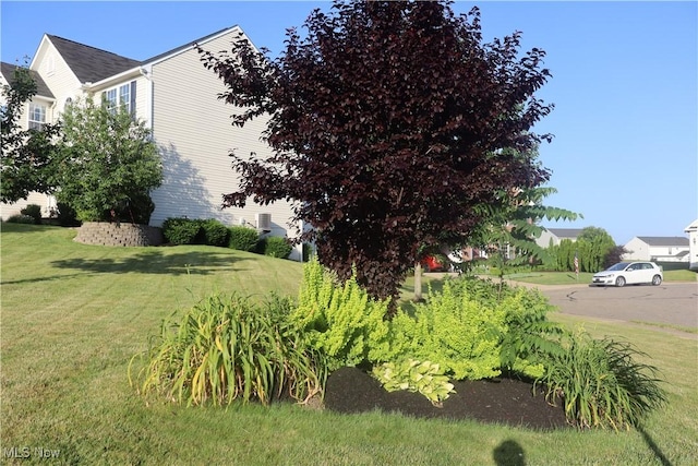 7509 Galena Ave NW, Canal Fulton, OH 44614 - view of grassy yard