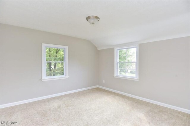 925 Keystone Dr, Cleveland, OH 44121 - photo 19