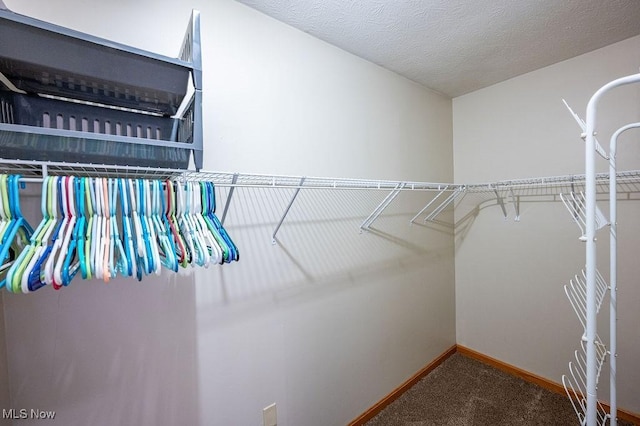 1565 Lois St, Belpre, OH 45714 - spacious closet with carpet flooring