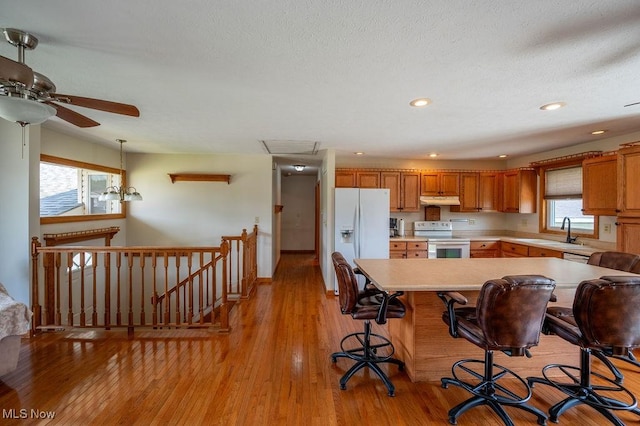 1565 Lois St, Belpre, OH 45714 - kitchen featuring white appliances, under cabinet range hood, light countertops, light wood-style flooring, and recessed lighting