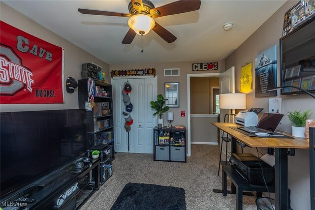 2366 Chelsea St, Avon, OH 44011 - photo 24