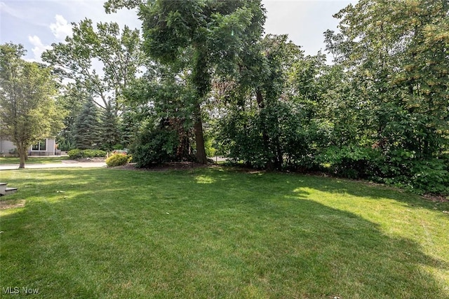 2366 Chelsea St, Avon, OH 44011 - photo 29