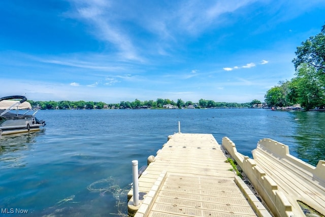 3613 Peninsula Dr, Akron, OH 44319 - dock with a water view