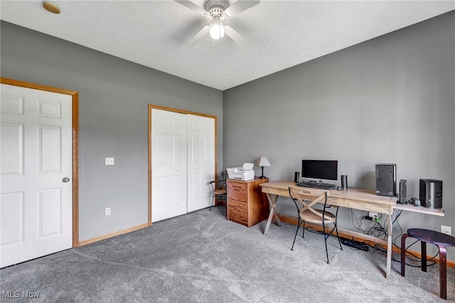 1017 Glendalough Ave, Grafton, OH 44044 - photo 27
