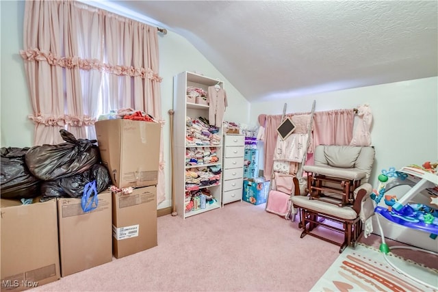 37 S Cedar St, Geneva, OH 44041 - bedroom featuring carpet flooring and vaulted ceiling